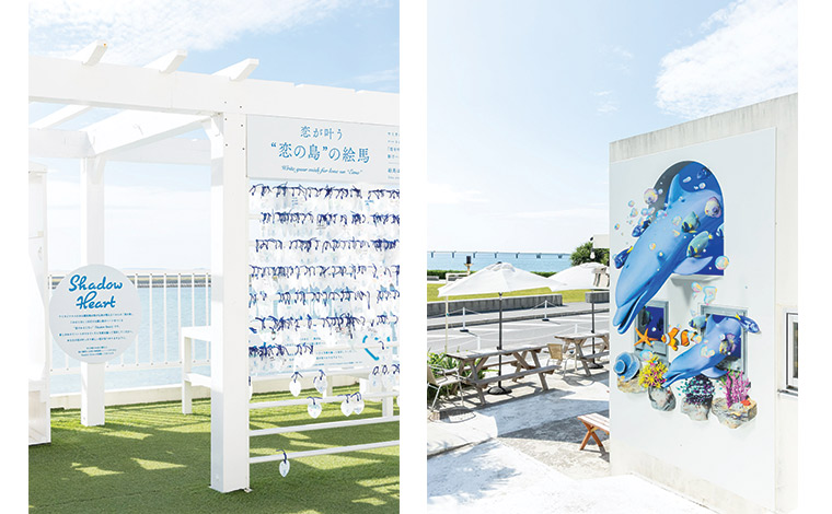 写真提供：Sesoko Masayuki