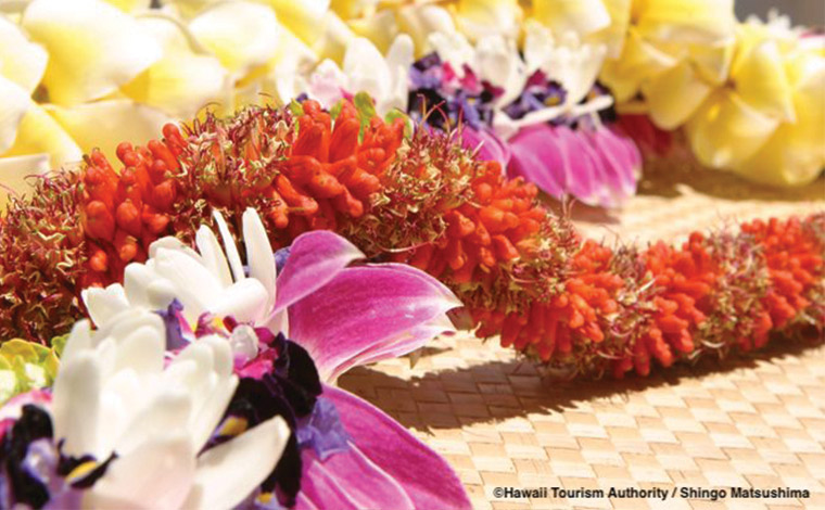 写真提供：ハワイ州観光局