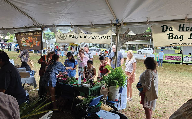 写真提供：ハワイ州観光局