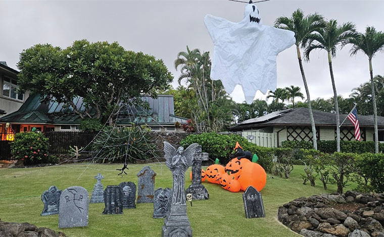 写真提供：ハワイ州観光局