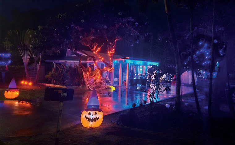 写真提供：ハワイ州観光局