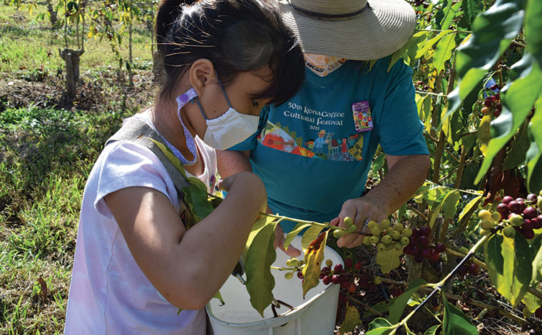 写真提供：The Kona Coffee Cultural Festival