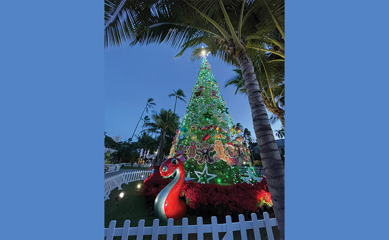 写真提供：ハワイ州観光局