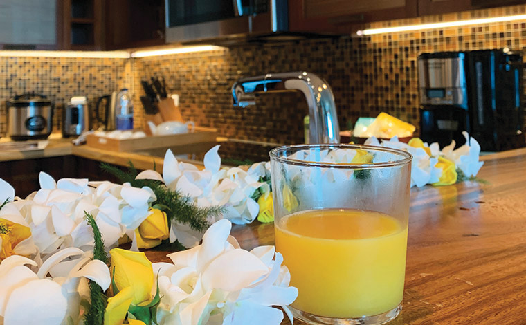 ザ・グランドアイランダー・ヒルトングランドバケーションズクラブ