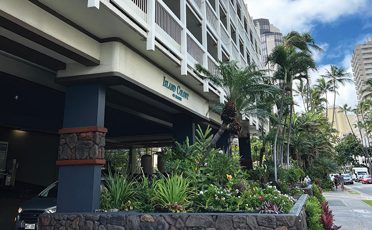 Forty Niner Waikiki / フォーティナイナー・ワイキキ