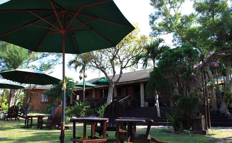 写真提供／fuu café（トップ画像も同）