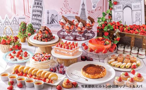 小田原の期間限定・春のいちごビュッフェ&沖縄のおすすめ春スイーツ　2024