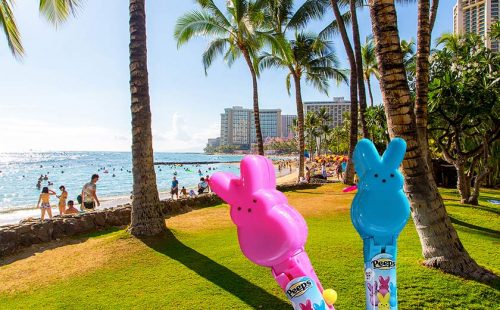 ハワイ在住スタッフおすすめ！入手困難な子供用ハワイ土産　【2024年最新】