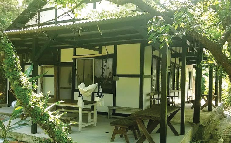 木漏れ日が溢れるテラス席。ハンモックもあります。<br />
（写真提供：藍風）