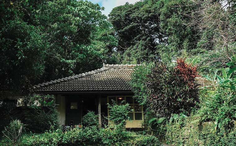 瓦屋根の古民家を改装したカフェ（写真提供：Cafe ハコニワ）