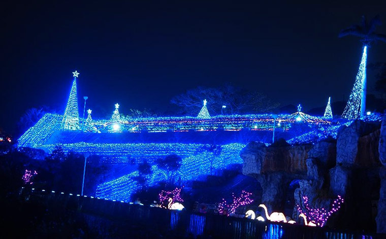 園内を彩る幻想的なイルミネーション。　<br />
写真提供：沖縄こどもの国