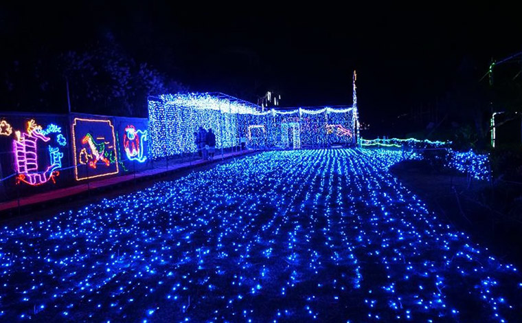 歩いているだけで楽しいクリスマスファンタジー。　<br />
写真提供：沖縄こどもの国