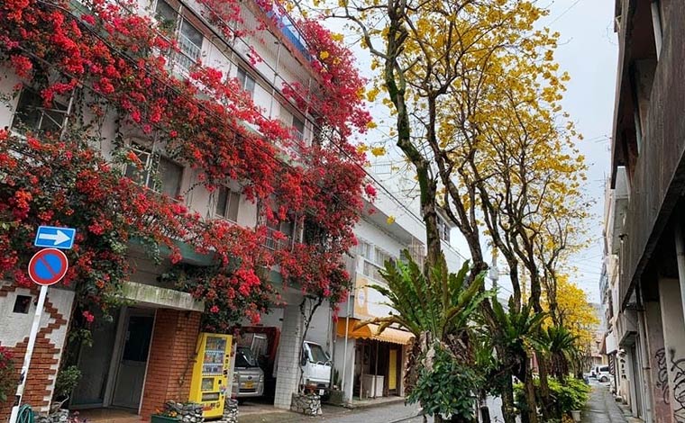 写真撮影する際は周囲に配慮しながら楽しく撮影しましょう。<br />
写真提供：沖縄市観光物産振興協会