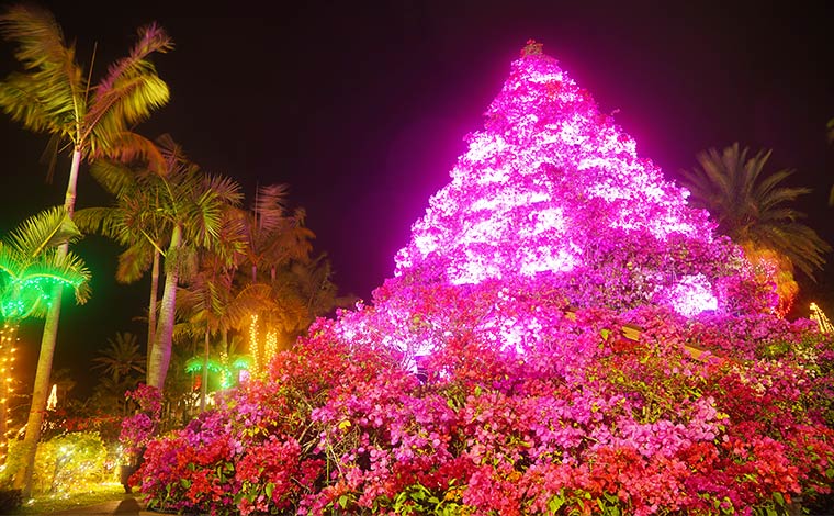 ライトアップされたブーゲンタワーも幻想的。<br />
写真提供：東南植物楽園