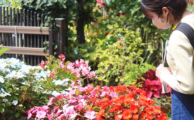 個人宅の庭を開放した「オープンガーデン」<br />
写真提供：久志地域観光交流協会