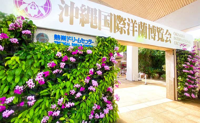 2025年で37回目を迎えた沖縄国際洋蘭博覧会。<br />
写真提供：国営沖縄記念公園(海洋博公園)：熱帯ドリームセンター
