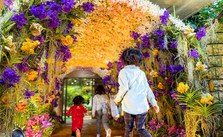 沖縄国際洋蘭博覧会が開催される熱帯ドリームセンター<br />
写真提供：国営沖縄記念公園(海洋博公園)：熱帯ドリームセンター