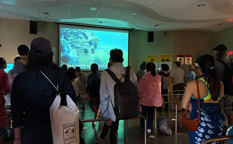 入場時に環境保護のビデオ視聴が義務付けられている