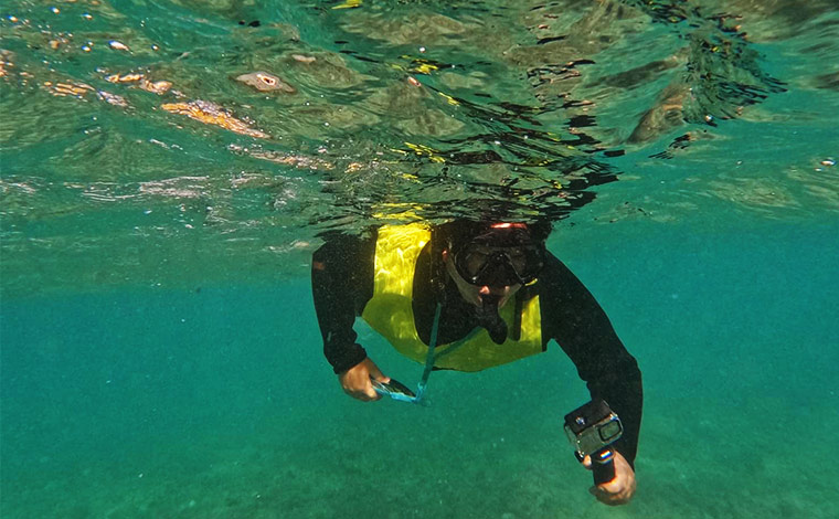 写真提供:Blue Hawaii Divers