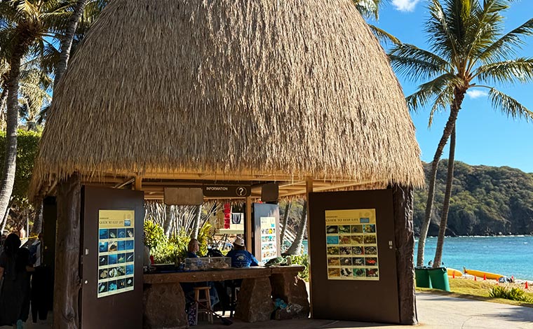 インフォメーションデスクでは、ハナウマ湾で観察できる魚などのリストがある