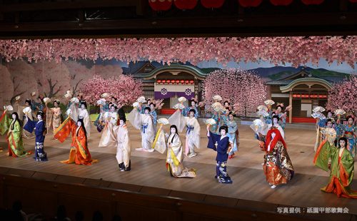 春の京都旅行におすすめ。舞妓、芸妓の舞踏公演「都をどり」と祇園散策