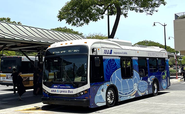 写真提供：ANA