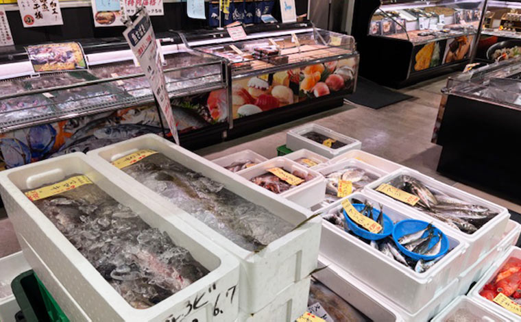 写真提供：漁港の駅 TOTOCO小田原