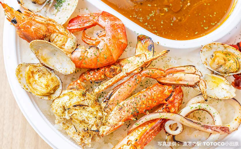 漁港の駅 TOTOCO小田原