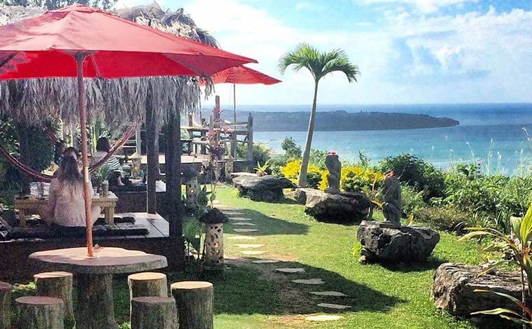 写真提供／亜熱帯茶屋（トップ画像同）