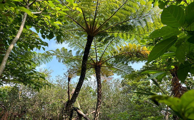 写真提供：沖縄どきどきツアーズ