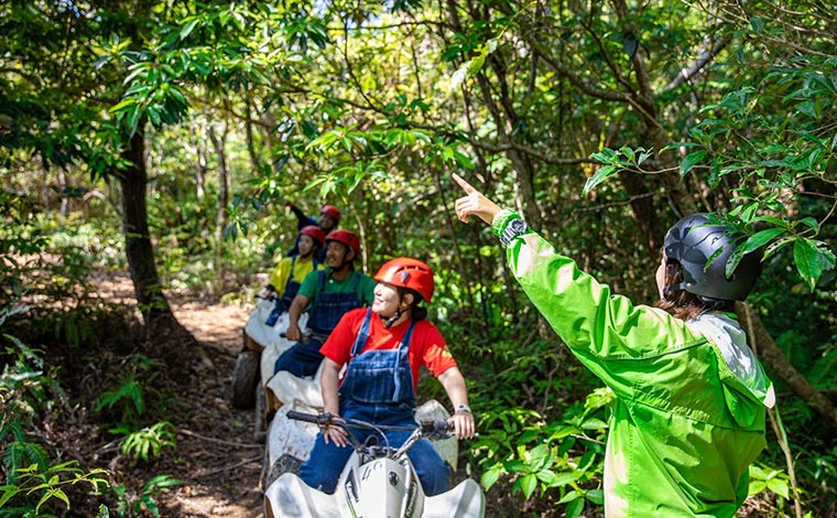 写真提供：沖縄どきどきツアーズ