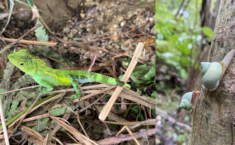 写真提供：沖縄どきどきツアーズ