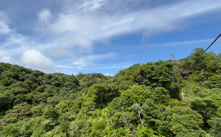 写真提供：沖縄どきどきツアーズ