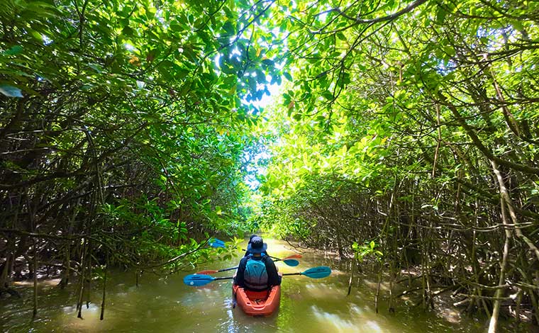 写真提供：やんばる案内人Tida-Smile
