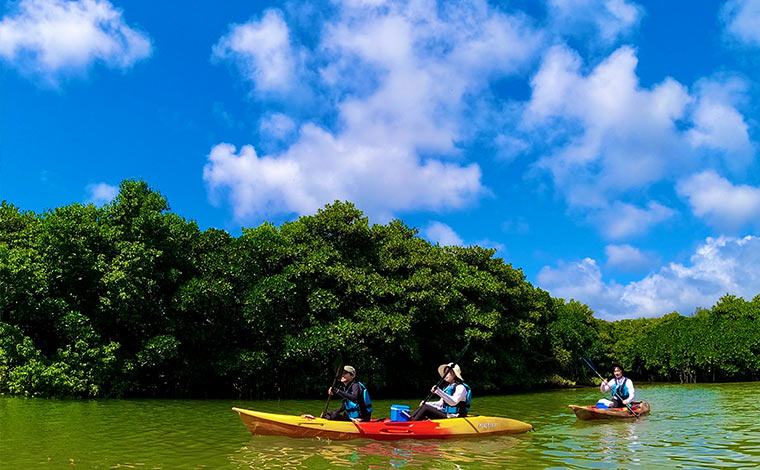 写真提供：やんばる案内人Tida-Smile