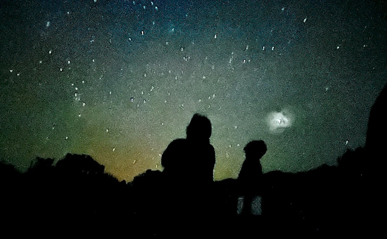 写真提供：やんばる案内人Tida-Smile