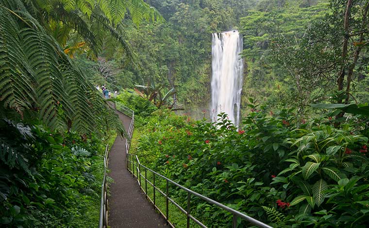 写真提供：Island of Hawaii Visitors Bureau (IHVB) / Tyler Schmitt