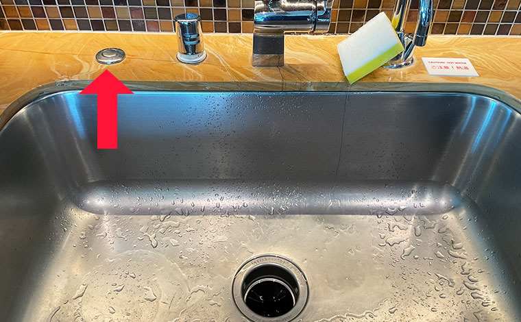 ディスポーザーは、上記写真の左にあるボタンを押すのみ